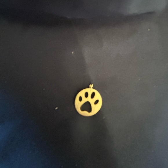 Jewelry - Paw Print Charm